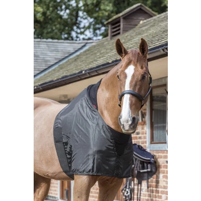 Afbeelding van LeMieux Borstbeschermer Bib Black XL