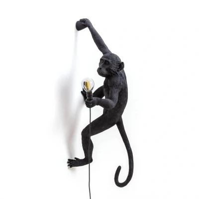 Afbeelding van Seletti Monkey Outdoor Lampresin Hanging