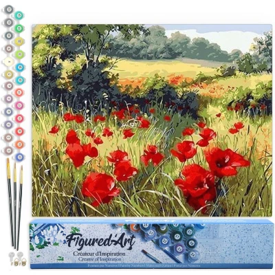 Afbeelding van Figured&#039;Art Schilderen op Nummer Volwassenen canvas Veld met klaprozen het platteland Handwerk acrylverf Kit DIY Compleet 40x50cm zonder frame