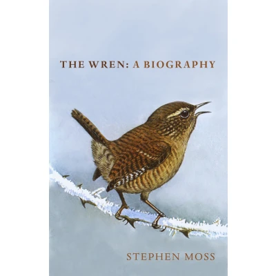 Afbeelding van The Wren