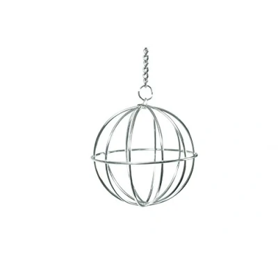 Afbeelding van Beeztees Voederbal Knaagdier Chroom Mint Diam. 12 cm