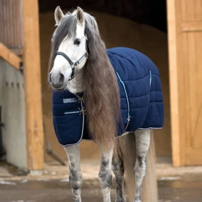 Image de Rambo Stable Heavy 400g