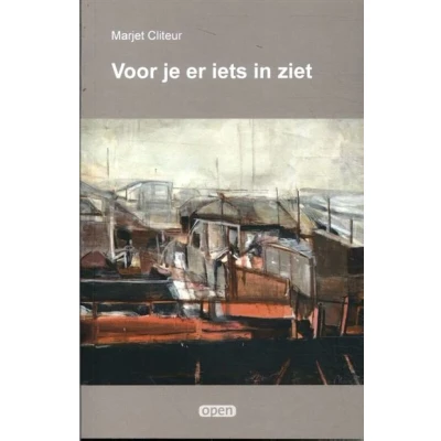Image de Voor je er iets in ziet