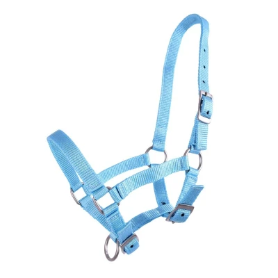 Image de QHP Halter Foal