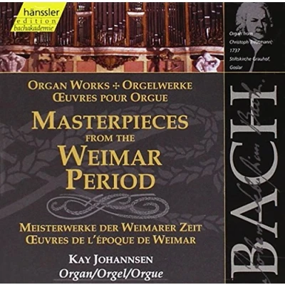 Afbeelding van Kay Johannsen Organ Works(Masterpieces From The W (CD)