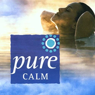 Afbeelding van Stuart Jones Pure Calm (CD)