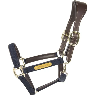 Afbeelding van Kentucky Horsewear Anatomisch Halster Marine Nylon Maat Cob