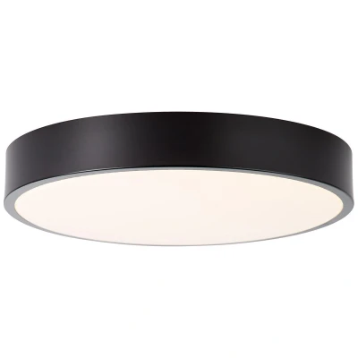 Afbeelding van plafondlamp Slimline LED Zwart 33 cm Kunststof Brilliant
