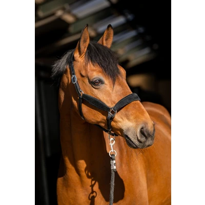 Image de HB Ruitersport Wisconsin Noir Full