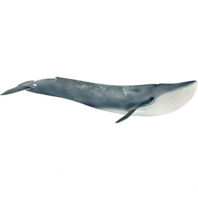 Afbeelding van Schleich wild life blauwe vinvis 27,5 cm