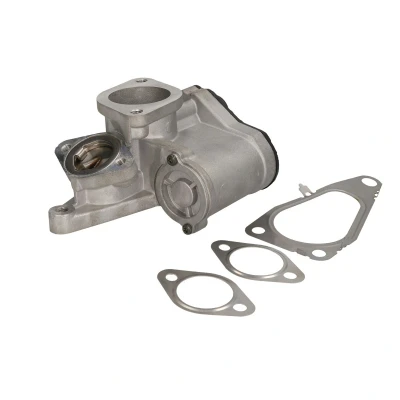 Afbeelding van WAHLER 710938D/1 EGR klep Electrisch Met pakking RENAULT: LAGUNA 2 Grandtour, 2, Grand SCENIC SUZUKI: Vitara SUV