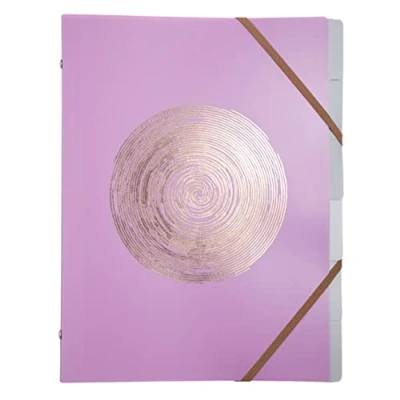 Afbeelding van Exacompta Ref. 56890E 1 ellipse met elastieken omslag van gerecycled polypropyleen roségoud reliëf 6 vakken voor A4 afmetingen: 25 x 32 cm willekeurige kleuren