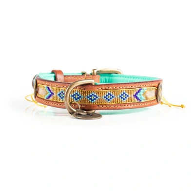 Afbeelding van Dwam Halsband Indi Moon Goud&amp;Turquoise Hondenhalsband 33 43x2.5 cm