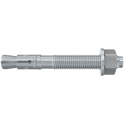 Afbeelding van Fischer 40943 FBN II doorsteekanker 10/100 M10 x 176mm (20st)