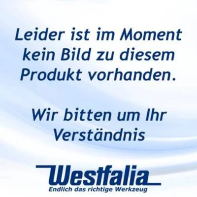 Afbeelding van HP Autozubehör 25134 Bord uitstekende lading (l x b h) 50 mm cm 0.03 bestand tegen UV licht