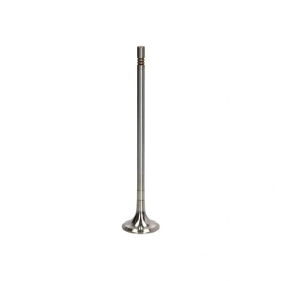 Afbeelding van TRW Engine Component Uitlaatklep 48316