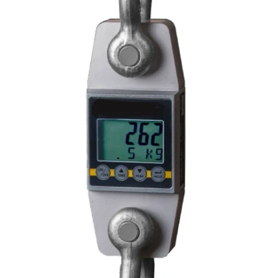 Afbeelding van Delta Lastmeter / Kraanweegschaal Loadcell 10 Ton