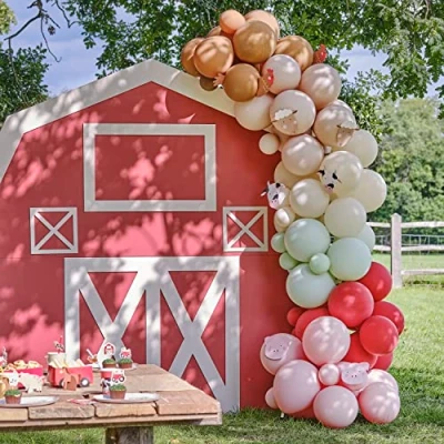 Afbeelding van Ginger ray ballonnenboog boerderij 70st
