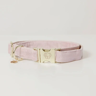 Image de Kentucky Collier velours Soft Rose XL