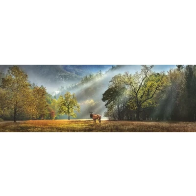 Afbeelding van Heye Puzzle Morning Salute Legpuzzel 1000 stuk(s) Liggend