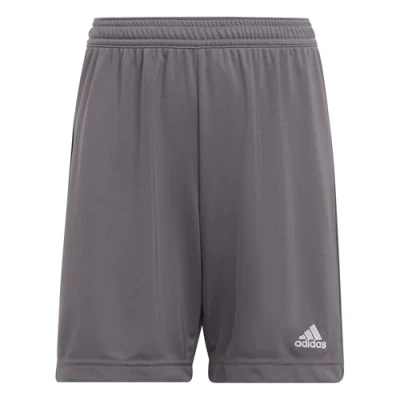 Afbeelding van adidas Performance Entrada 22 Short Kinderen Grijs 176