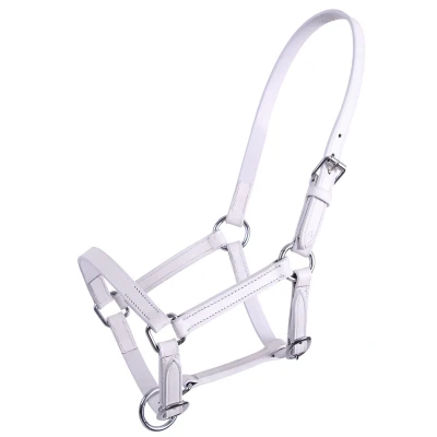 Image de QHP Leather Foal Halter Chico