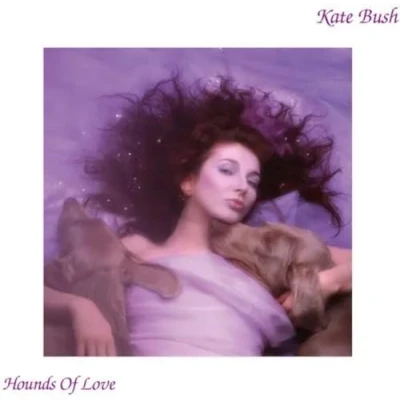 Afbeelding van Hounds of Love