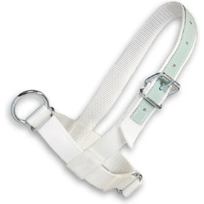 Afbeelding van Halster Kalf Wit Show 40Mm.Met Leer