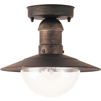 Afbeelding van Rabalux Plafondlamp voor buiten / Diameter: 24 cm Kleur: oud goud