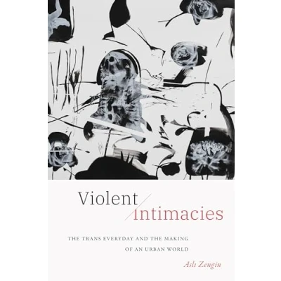 Afbeelding van Violent Intimacies