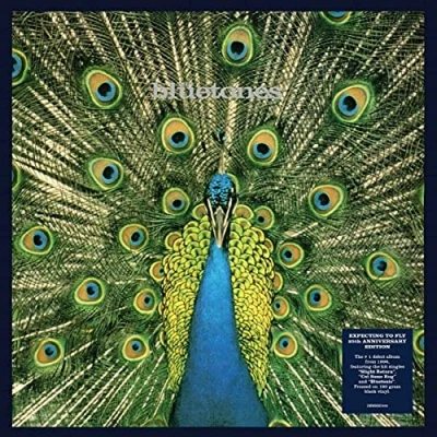 Afbeelding van Bluetones Expecting To Fly (LP)