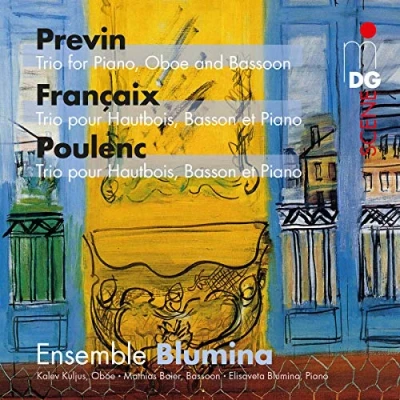 Afbeelding van Ensemble Blumina Trio (CD)