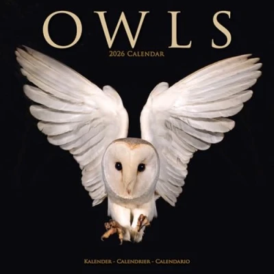Afbeelding van Owls Kalender 2025 2026