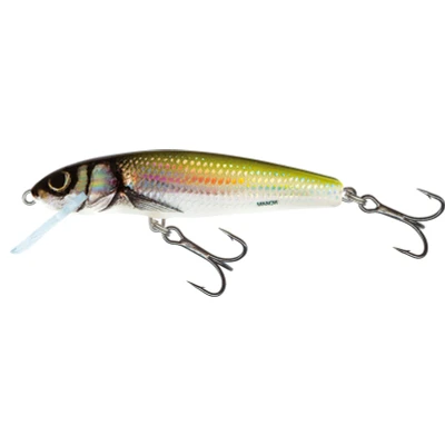 Image de Salmo Flottant Minnow 6cm 4g (profondeur: 0.5 1m) Kleur : Holo Bleak