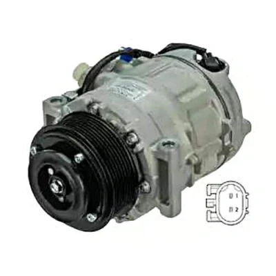 Afbeelding van DELPHI CS20378 AC Compressor 7SEU17 PAG 46 Met compressorolie MERCEDES BENZ: ML Class, R Class
