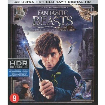 Afbeelding van Fantastic Beasts and Where to Find Them (4K Ultra HD Blu ray)