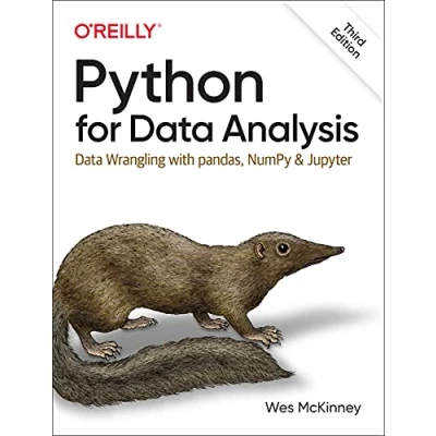 Afbeelding van Python for Data Analysis 3e