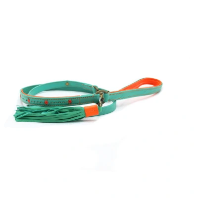 Afbeelding van Dwam Looplijn Janis Turquoise&amp;Oranje Hondenriem 135x1.6 cm