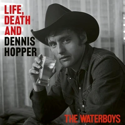 Afbeelding van The Waterboys Life Death &amp; Dennis Hopper (LP) (Coloured Vinyl)