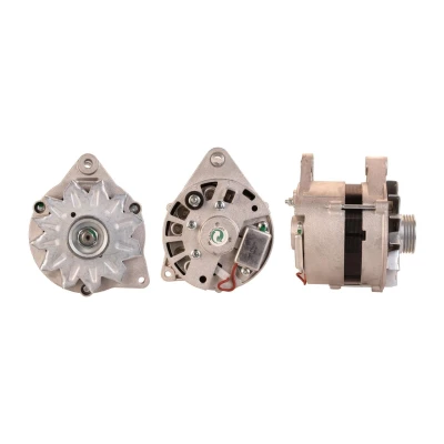 Afbeelding van Dynamo / Alternator ELSTOCK 28 2825