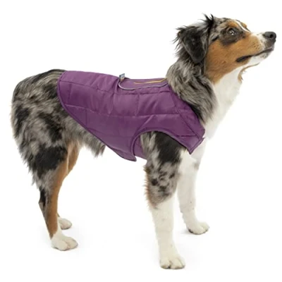 Afbeelding van Kurgo Loft Jacket Violet/grijs s 34cm Hond Animal Boulevard K01867