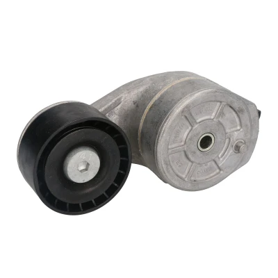 Afbeelding van DAYCO APV1120 Riemspanner