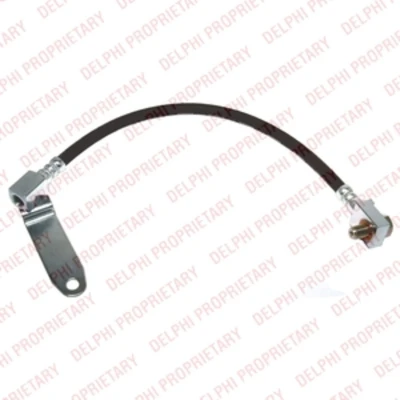 Afbeelding van DELPHI LH6616 Remslang 419 M12x1 Int SF