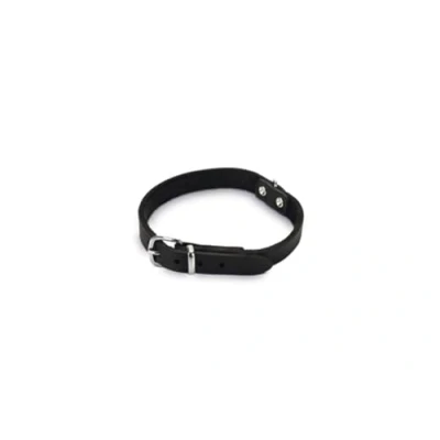 Afbeelding van Bz halsband leder zwart 42 cm x 16 mm