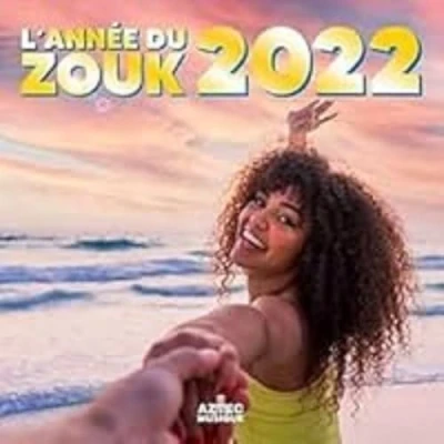 Afbeelding van Various Artists Année Du Zouk 2022 (2 CD)