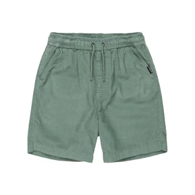 Afbeelding van Quiksilver Taxer Youth Shorts voor kinderen, Maat: 152, Chinois green