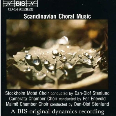 Afbeelding van Stockholm Motet Choir I Himmelen/Sag Mig (CD)