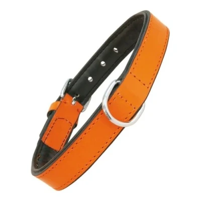 Afbeelding van Dog collar Gloria Padded Orange (40 x 2 cm)