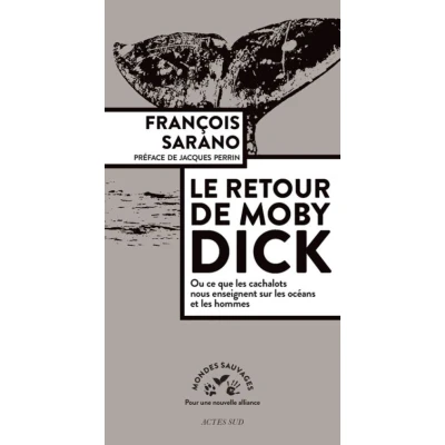 Image de Le retour de Moby Dick