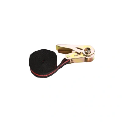 Afbeelding van Weber Tools Spanband 5m x 25mm met ratel
